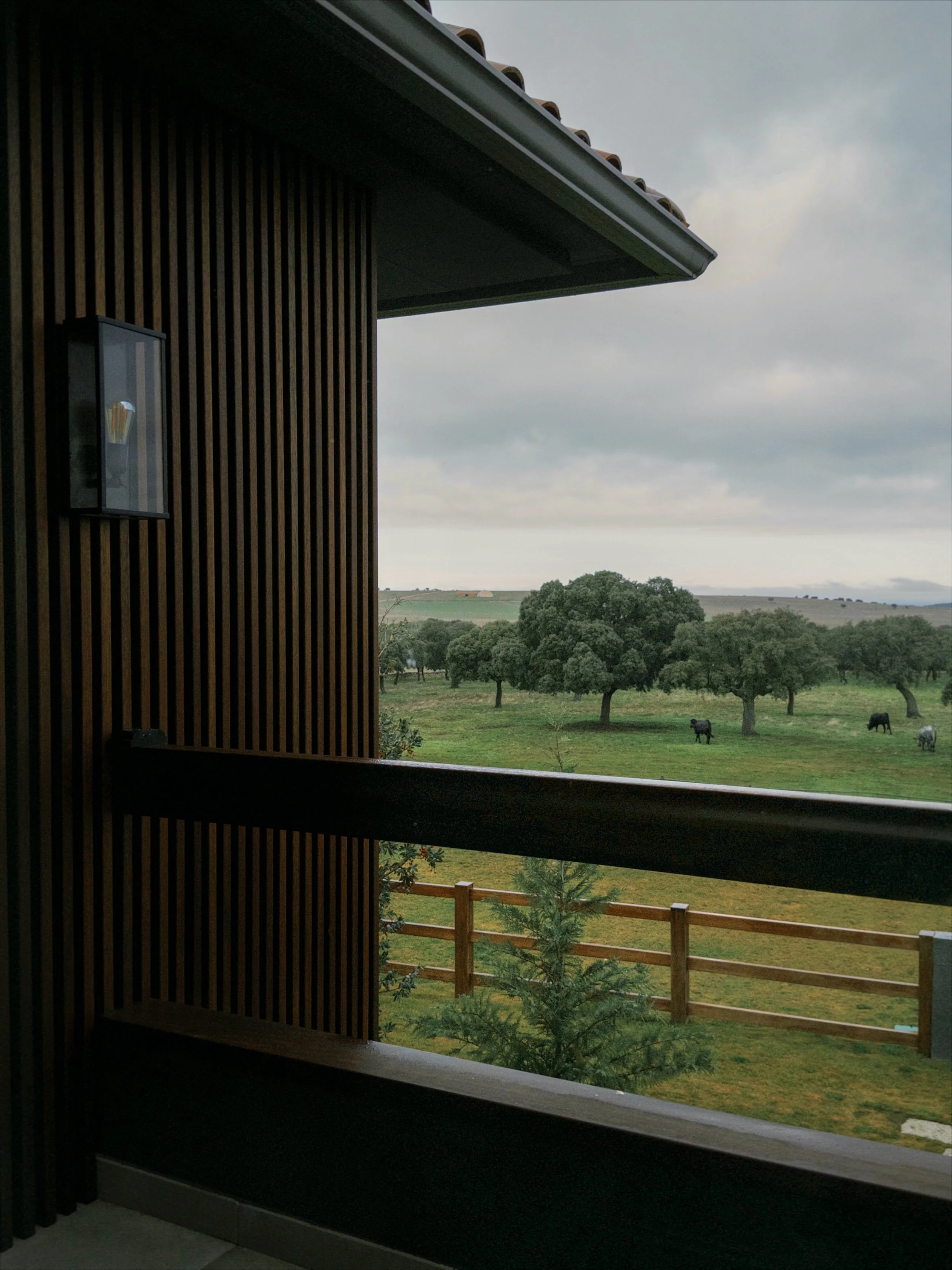 fxn 2026-01-19 104827.548.JPG