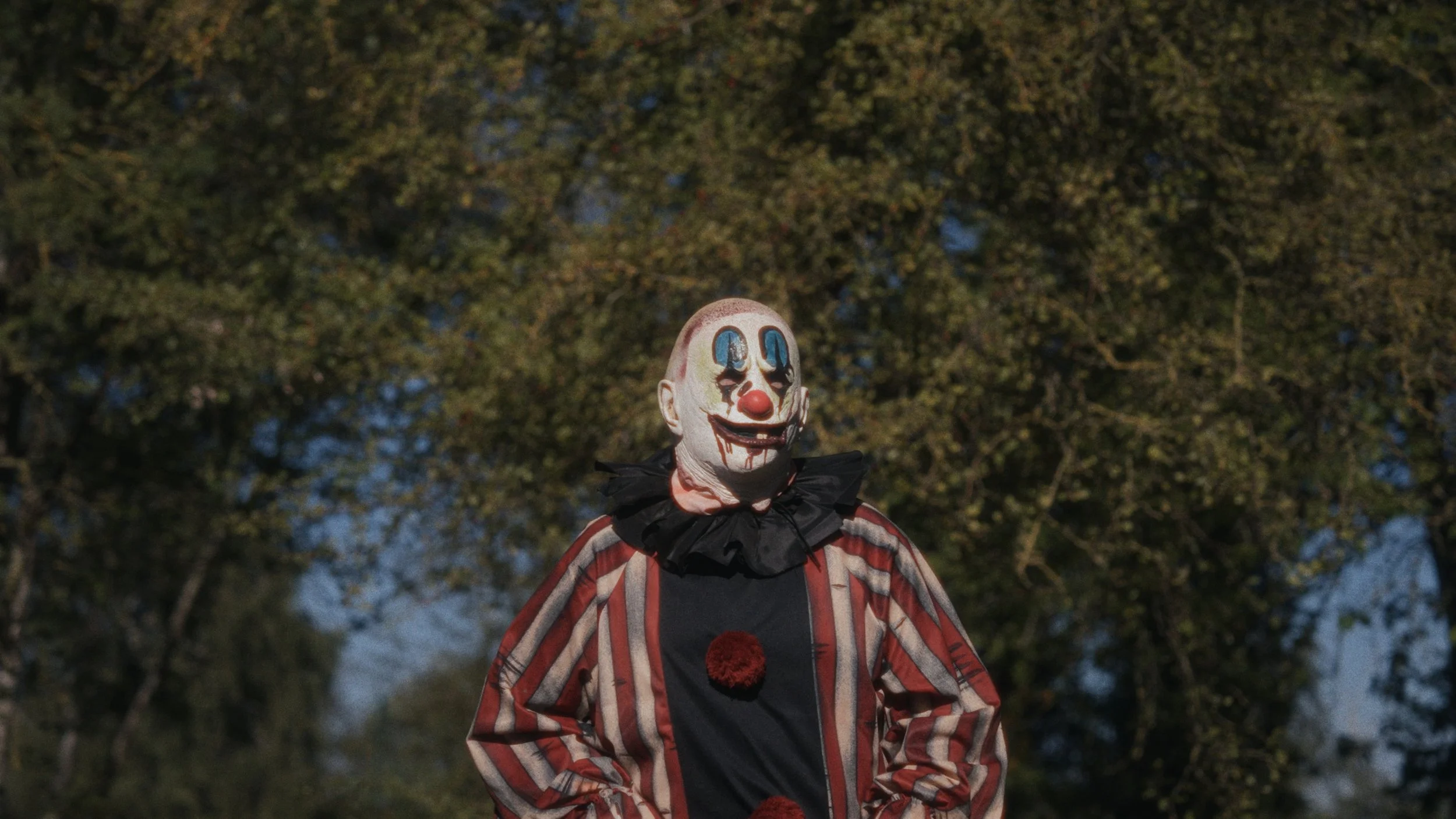clown7.jpg
