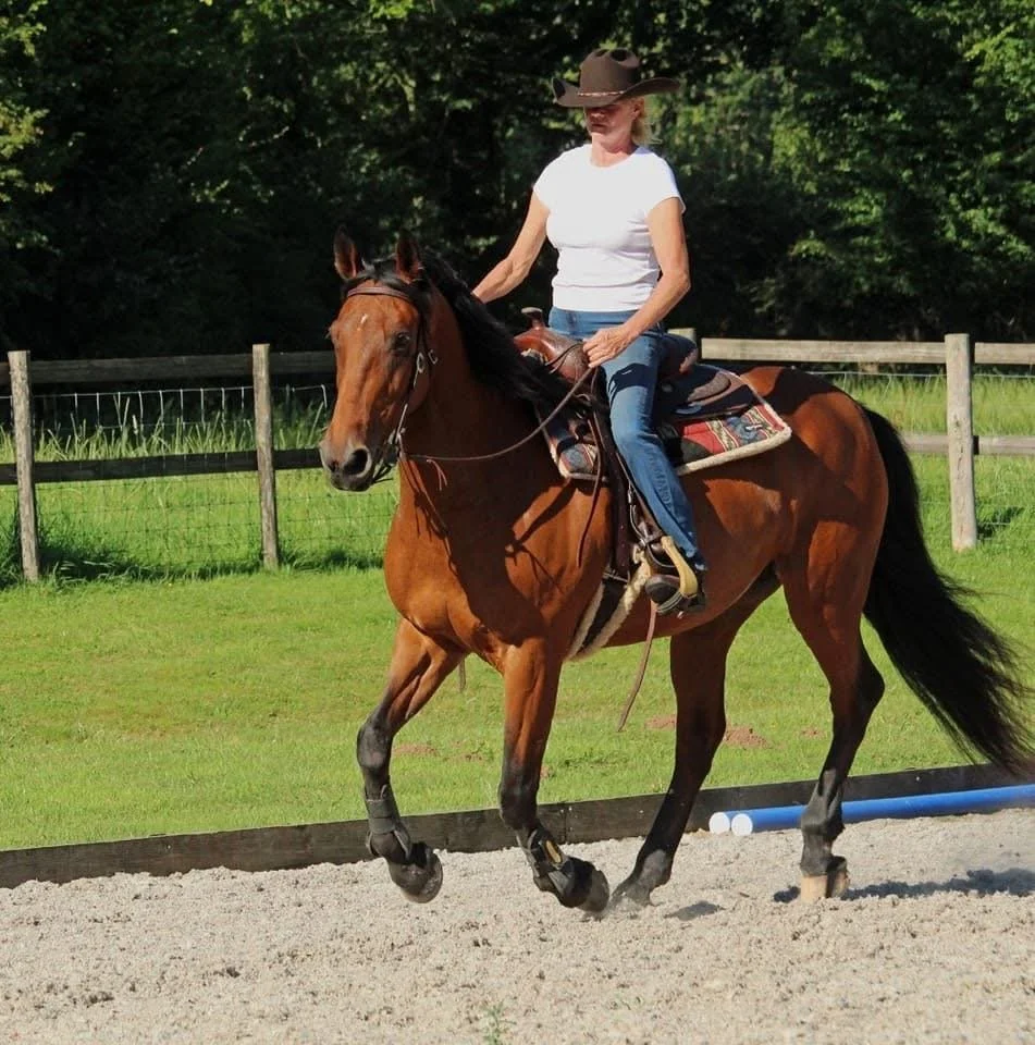 Herefordshire Horsemanship Demo- 4th July 2026