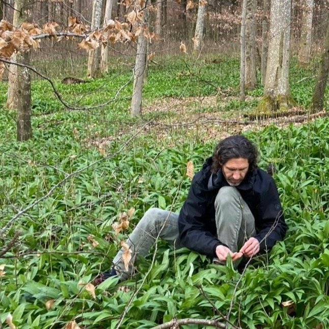 Bärlauch 2_NEU.jpg