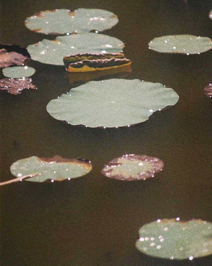 Emotional Healing Through the Body