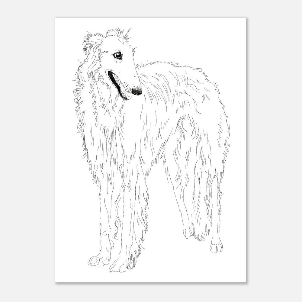 Borzoi