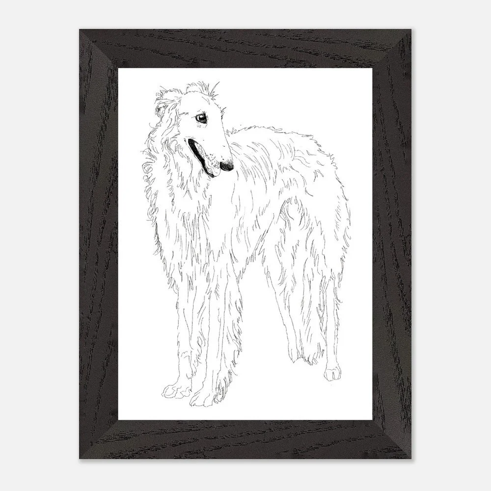 Borzoi