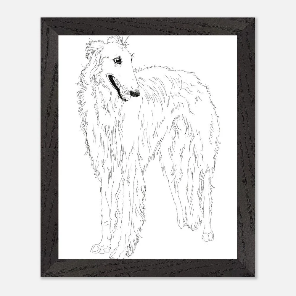 Borzoi