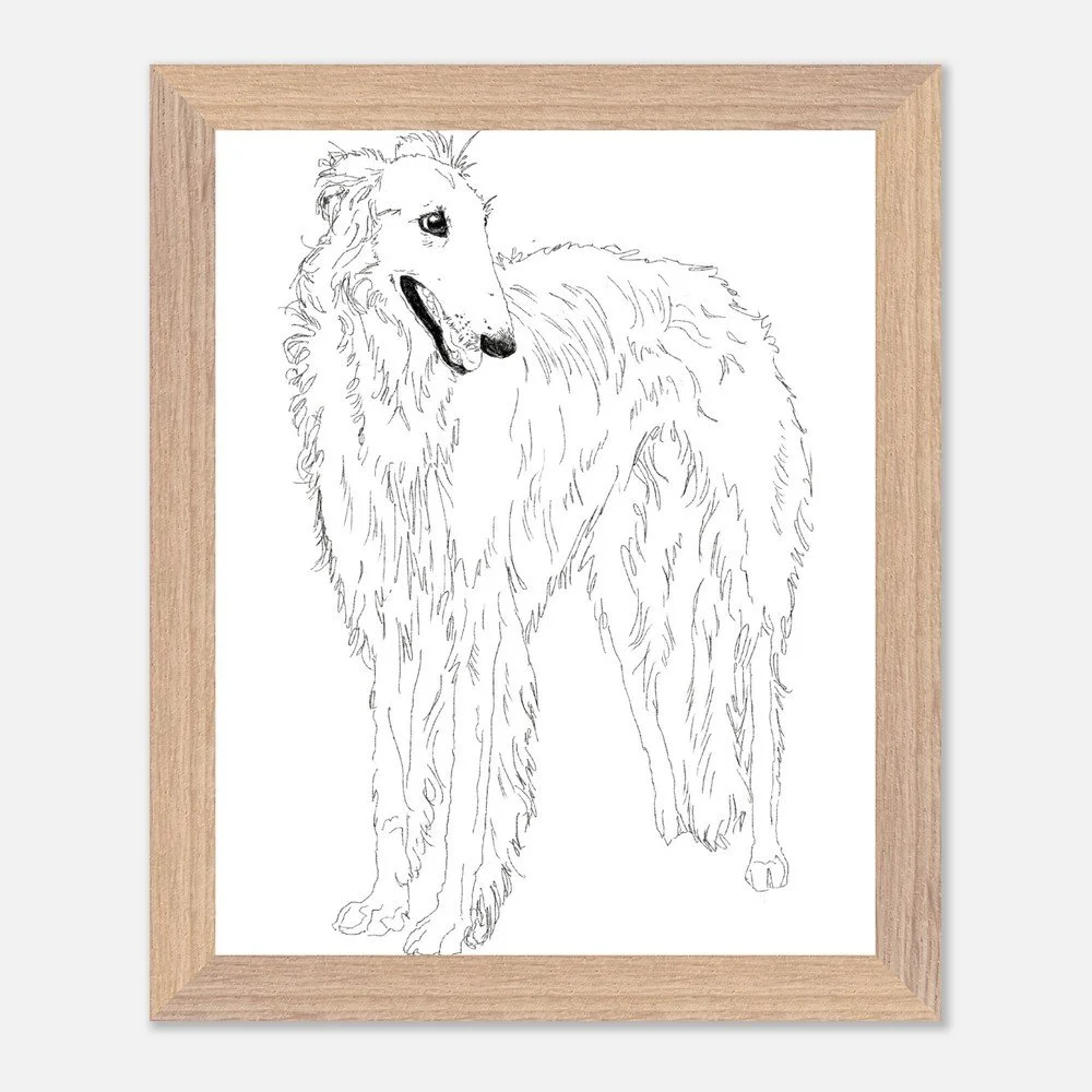 Borzoi