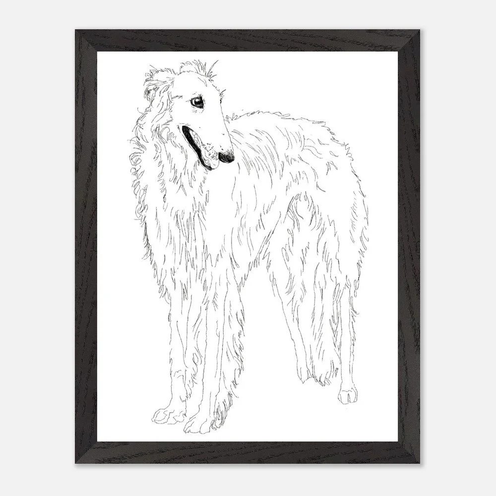 Borzoi