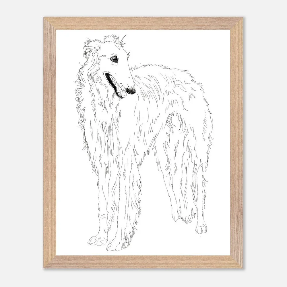 Borzoi