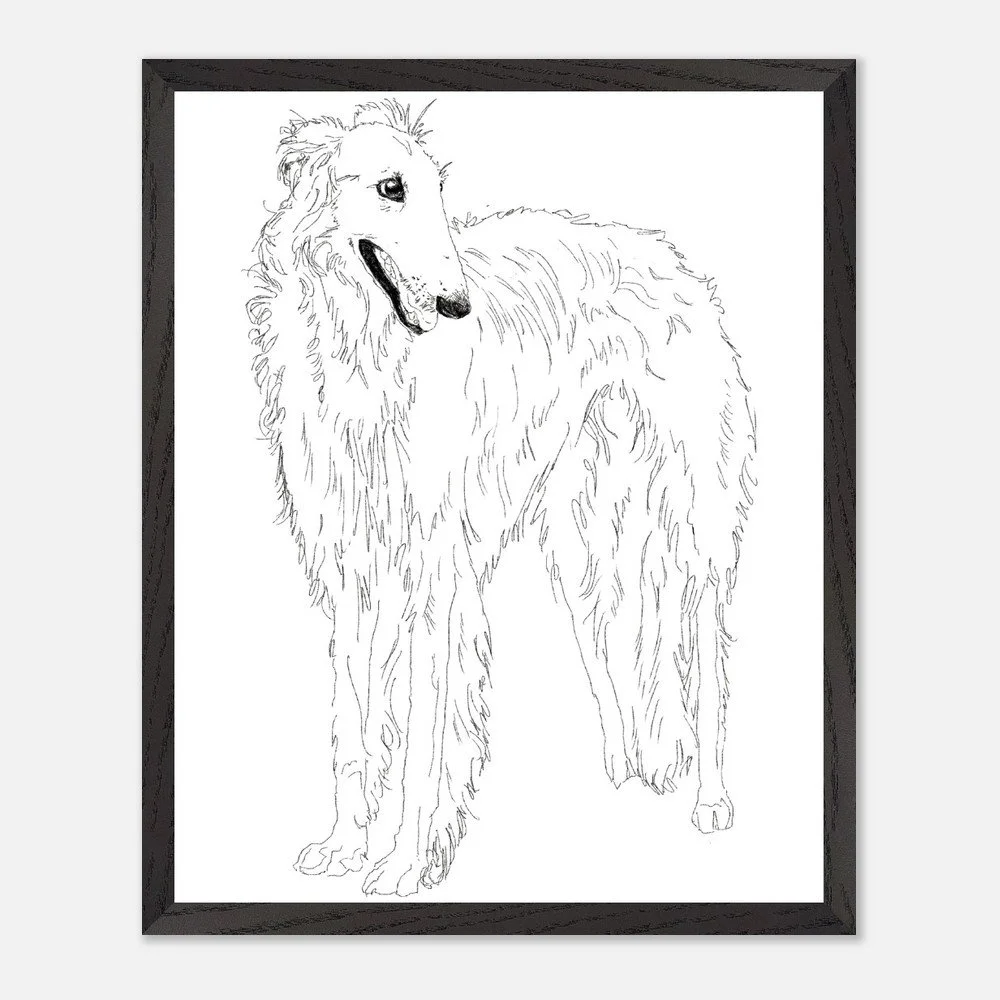 Borzoi