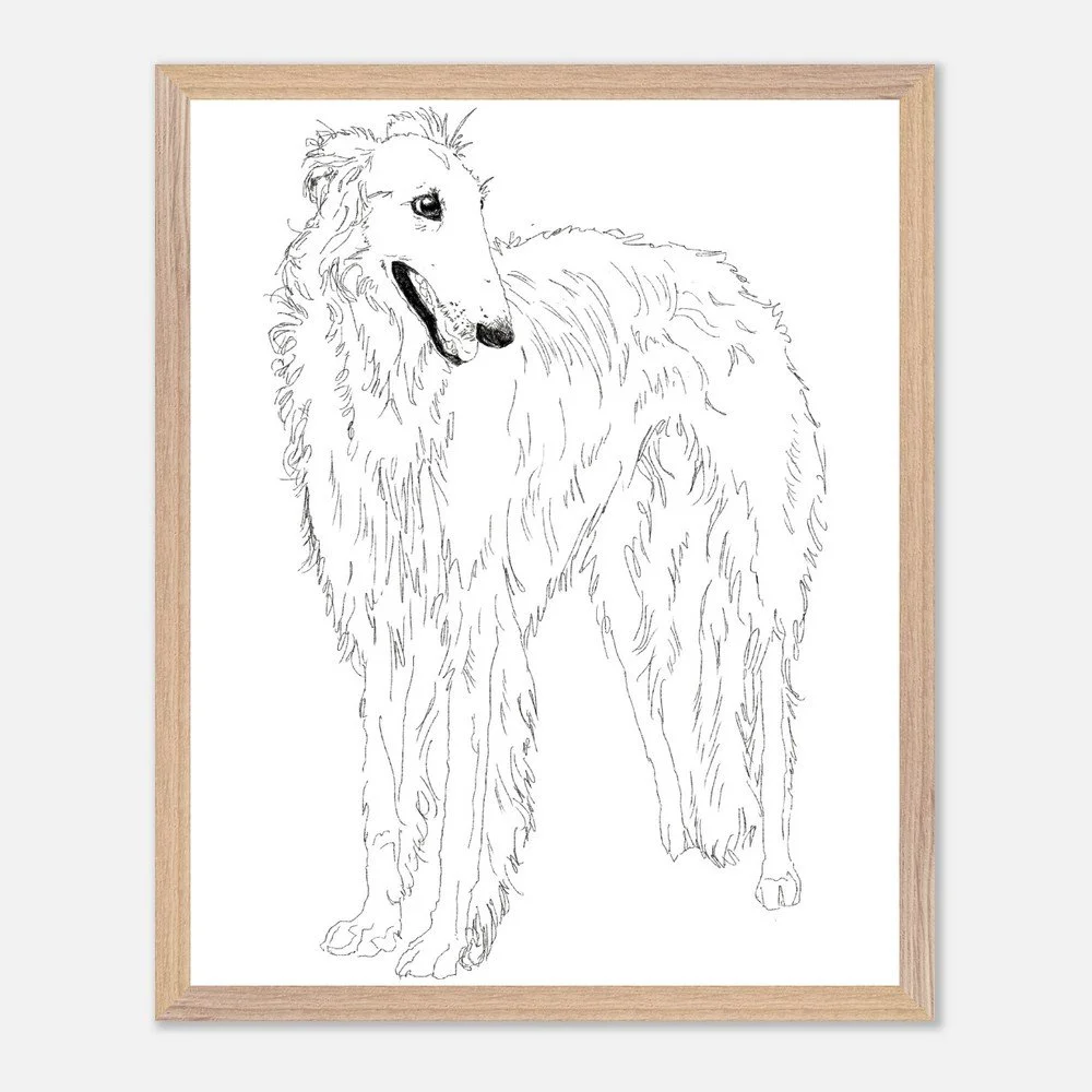 Borzoi