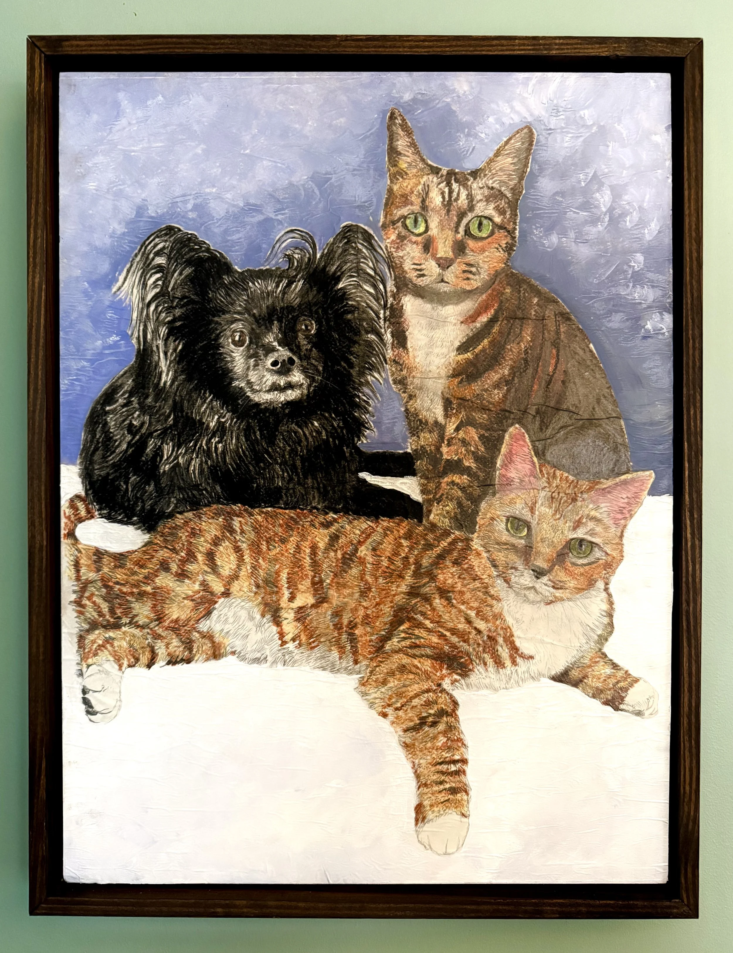 Pet Portrait Commissions