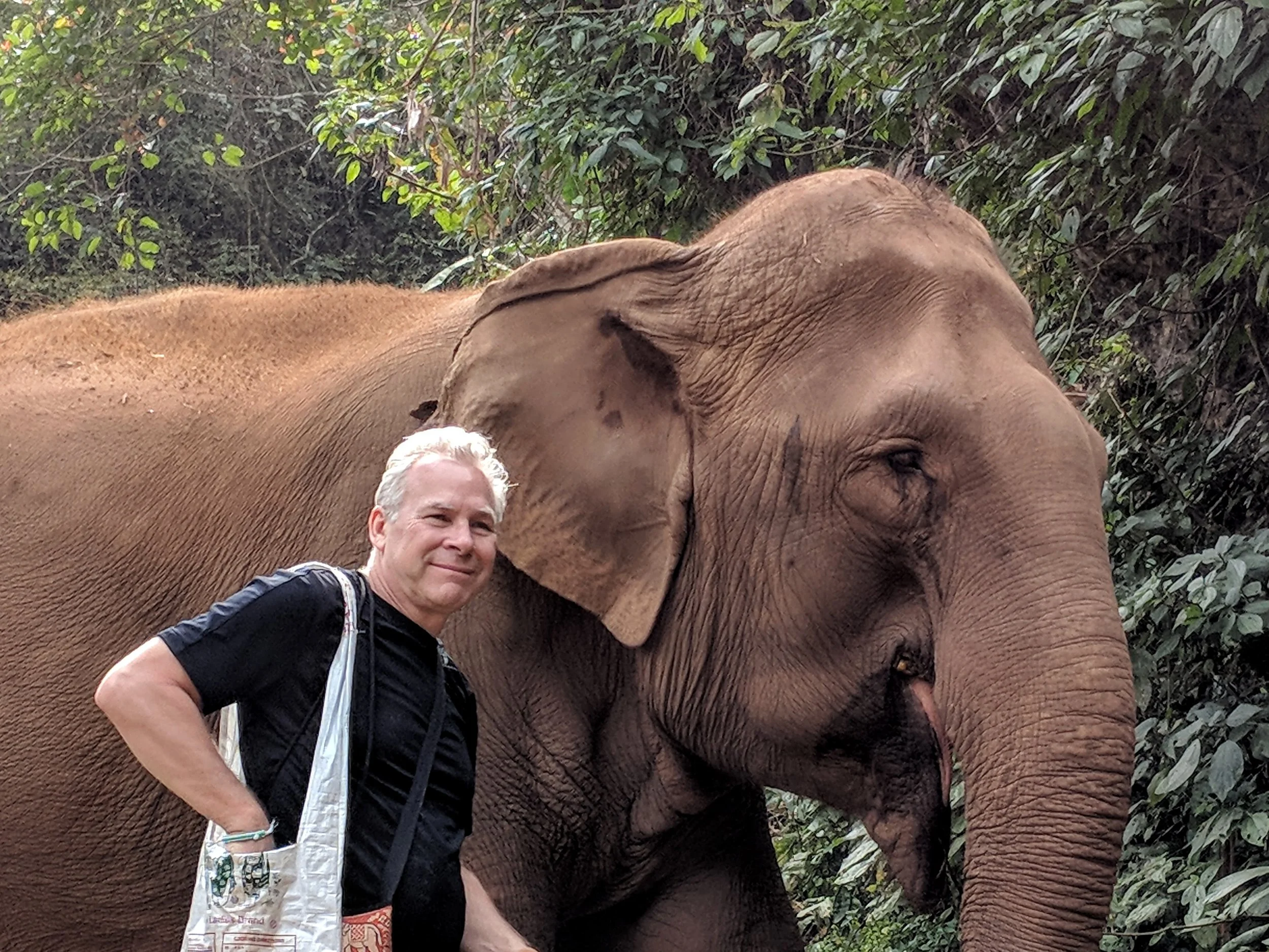 MyMilesGuy standing next to an Asian elephant in a lush green jungle in Thailand