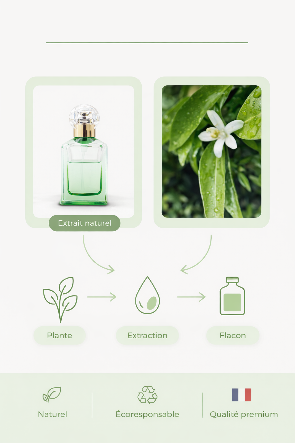 d150eb2b-517c-4627-b791-146f5ca5b492 (1).png