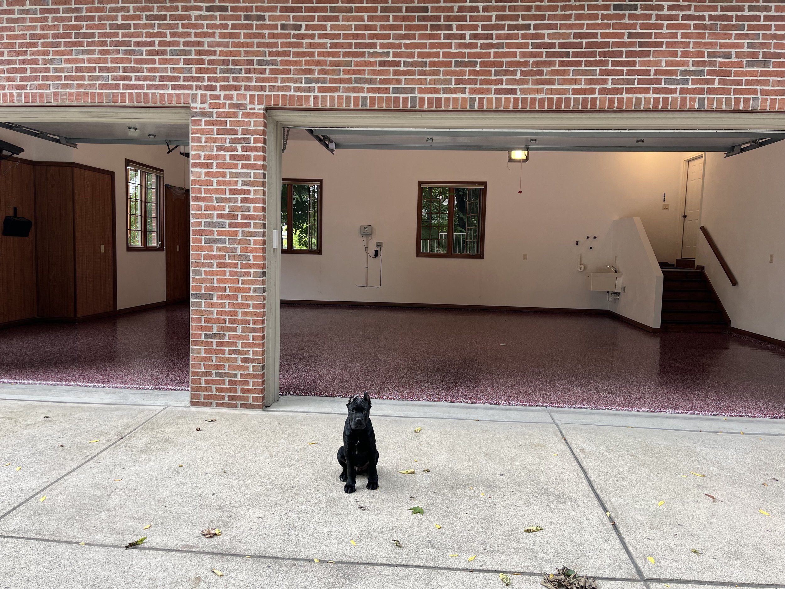 A small black dog sitting on a concrete driveway outside an open garage with a red speckled epoxy floor, brick columns, and white walls. The garage has windows and a staircase leading to a door.