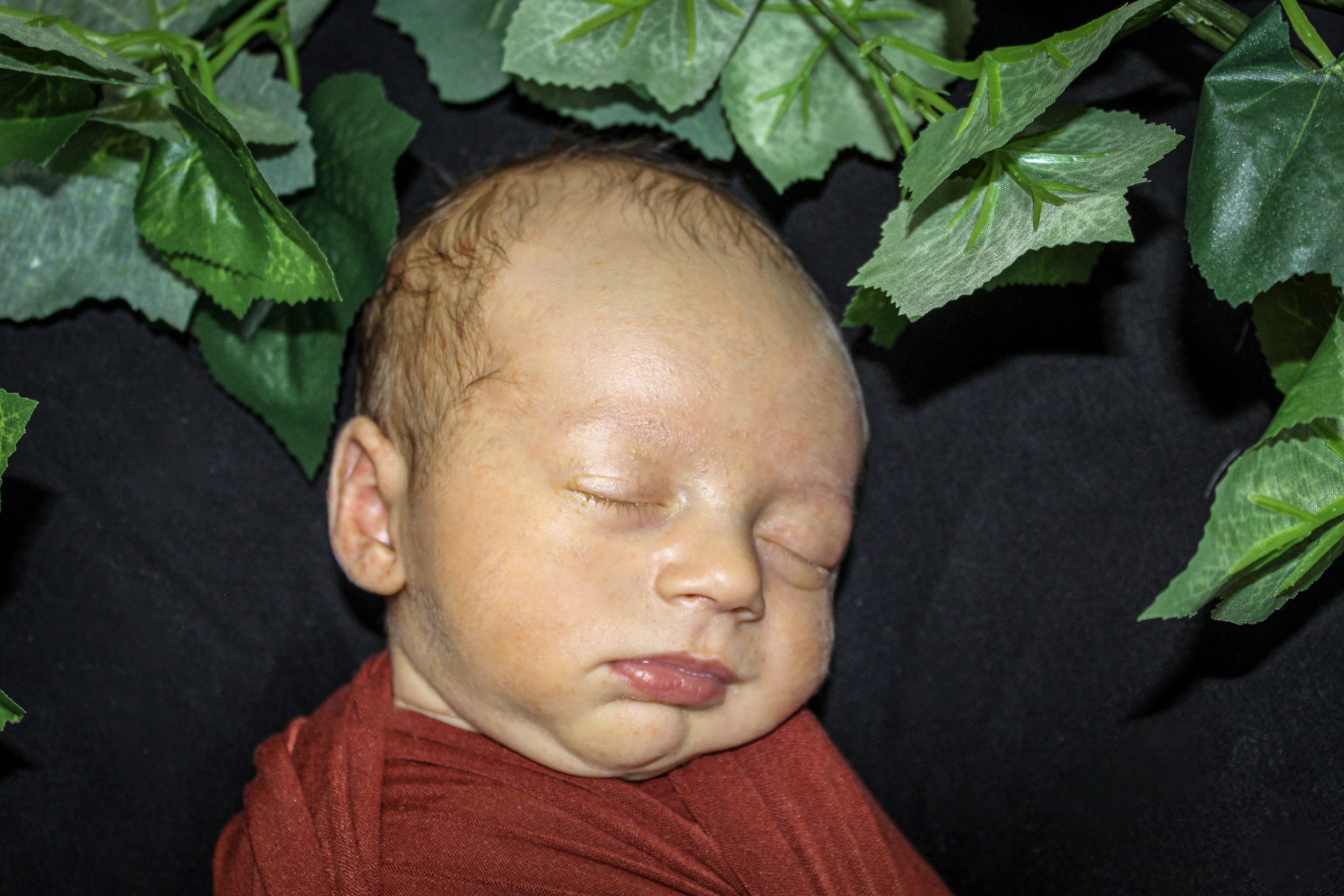 Close-up of a sleeping newborn baby with closed eyes, rosy cheeks, and light brown hair, wrapped in a red cloth, surrounded by green leaves.
