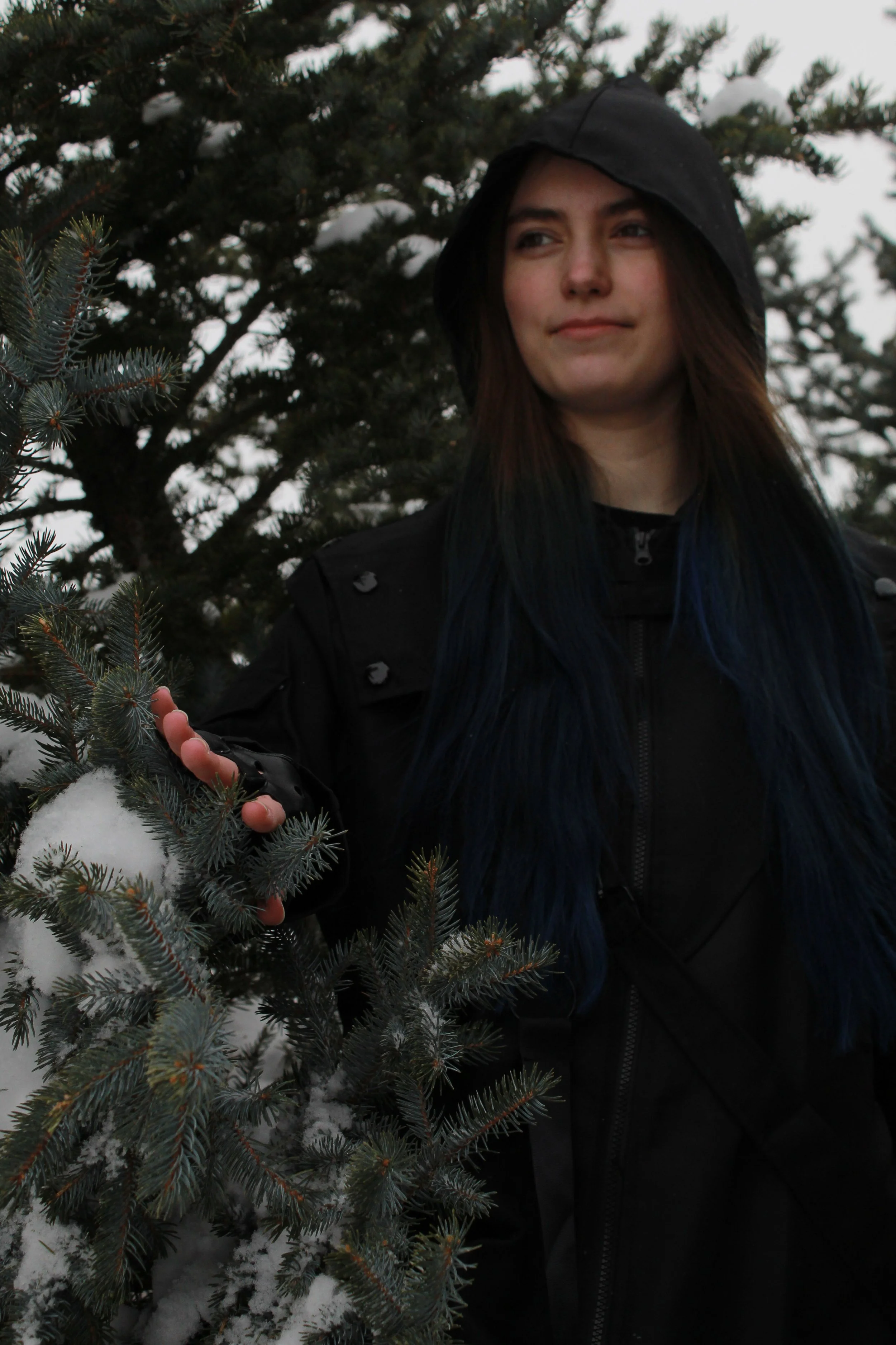 A woman standing outdoors in snowy weather, wearing a black hooded jacket, with long dark hair with blue tips. She is touching a snow-covered branch of an evergreen tree.