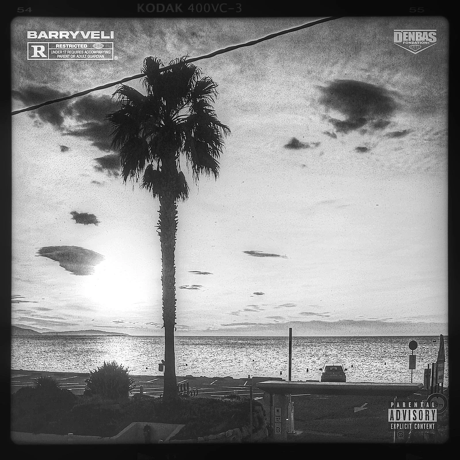 Scène côtière au coucher du soleil avec un palmier en premier plan, une voiture stationnée, et des nuages dans le ciel. En noir et blanc.