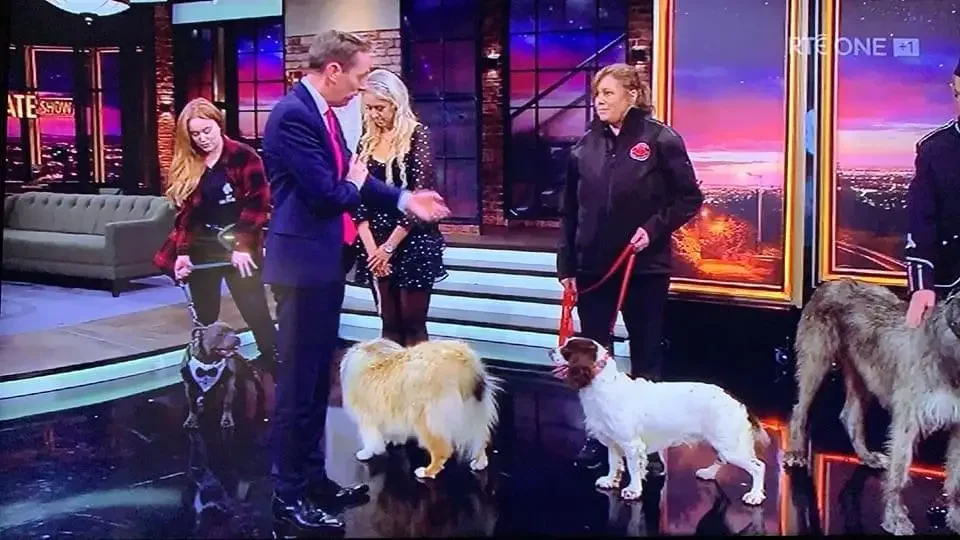 Screenshot from RTE's Late Late Show with four dogs on leashes with three handlers and one man on a TV set with stairs, a sofa, and cityscape backdrop.