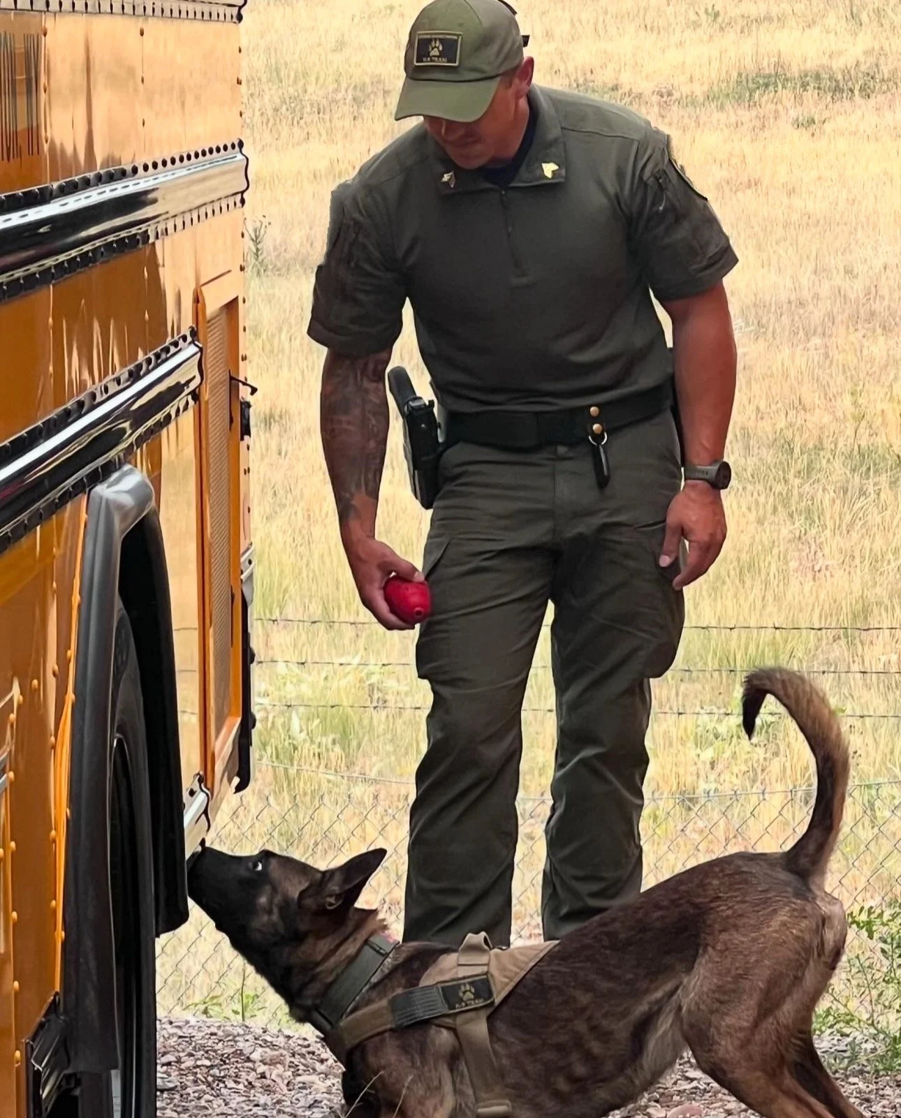 A police officer using a narcotics detection dog during a training session outside near a yellow school bus parked near a wire fence.