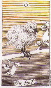 The Fool Tarot Card from the Wild Unknown deck. This tarot card features a baby chick who is about to fly.