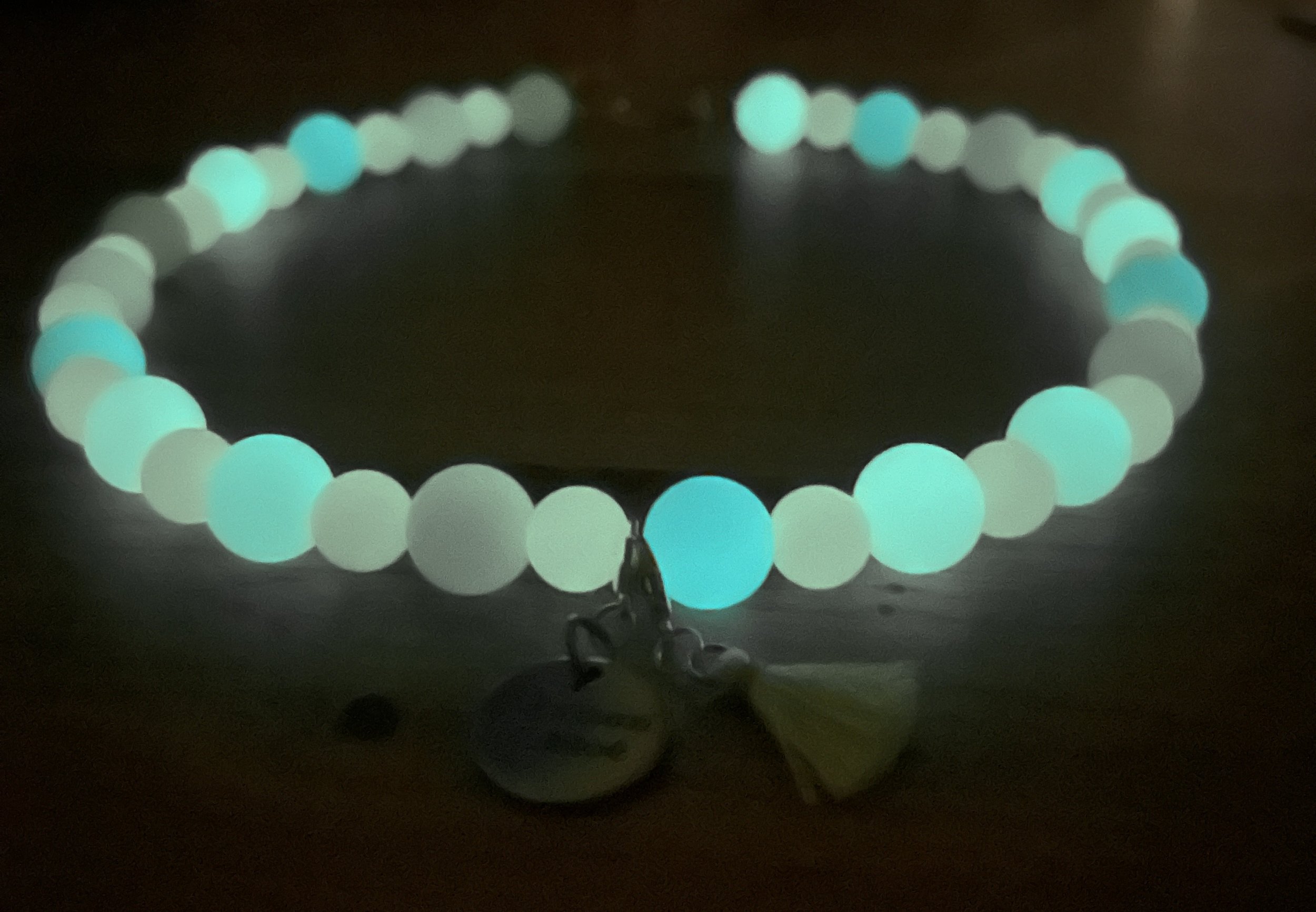 Hundekette Glow in the Dark
