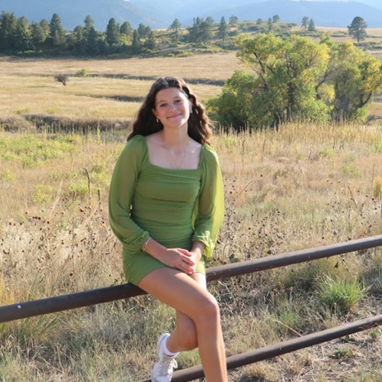 Young woman in a green dress sitting on a fence in a rural field with trees and hills in the background.