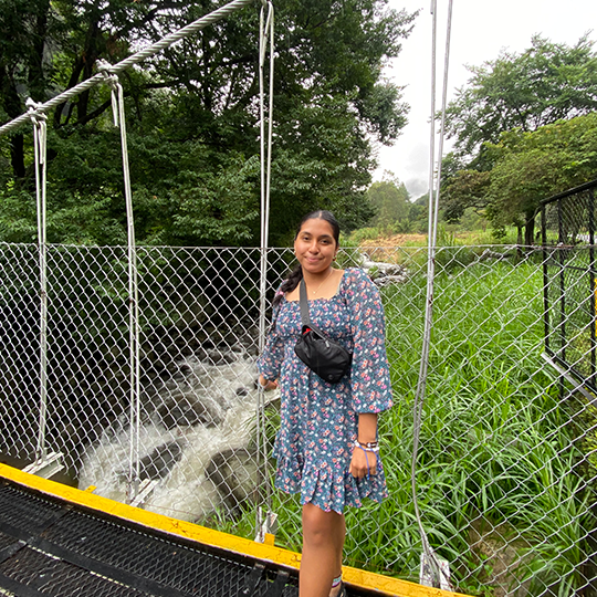 Young woman in a floral dress standing on a suspension bridge over a waterfall in a lush, green park.