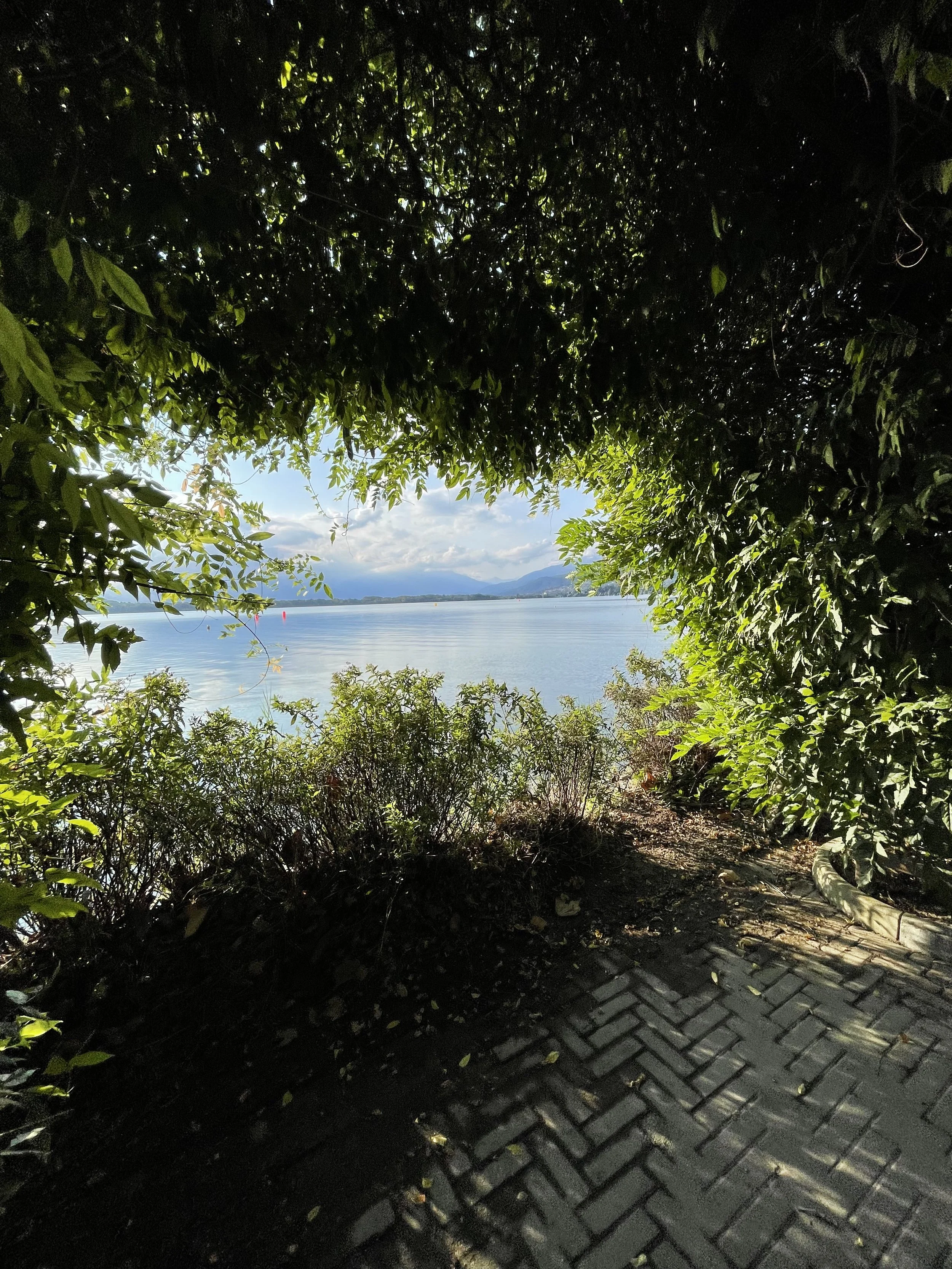 Utsikt gjennom blader mot en rolig innsjø med fjell i bakgrunnen, sølvfarget vann og blå himmel med noen skyer, sett fra en sti med skyggelagte brosteinsheller.