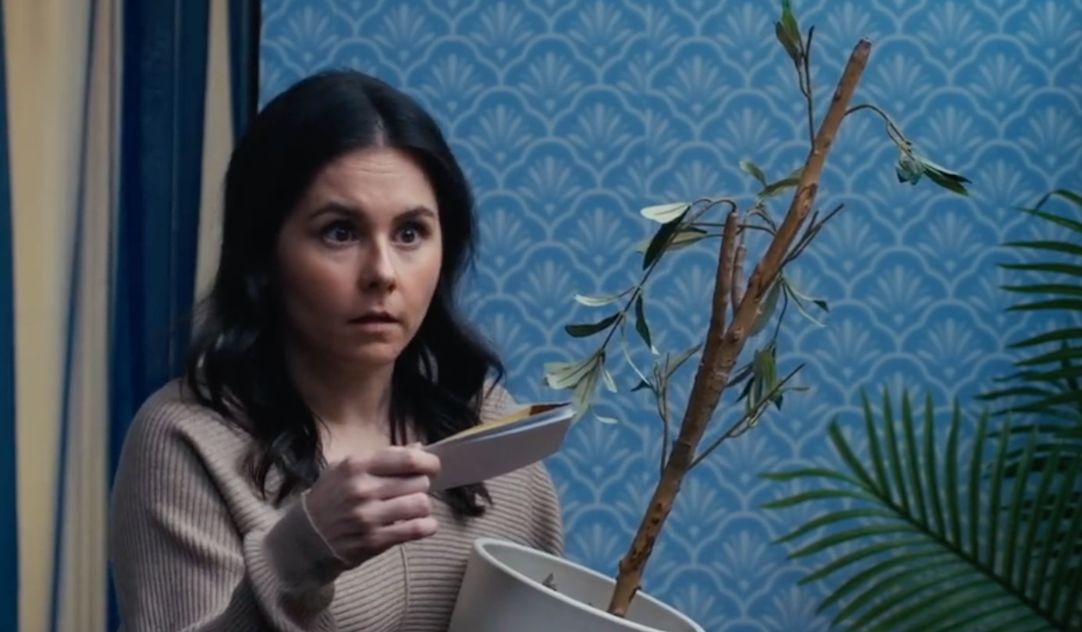 ficus+2.png