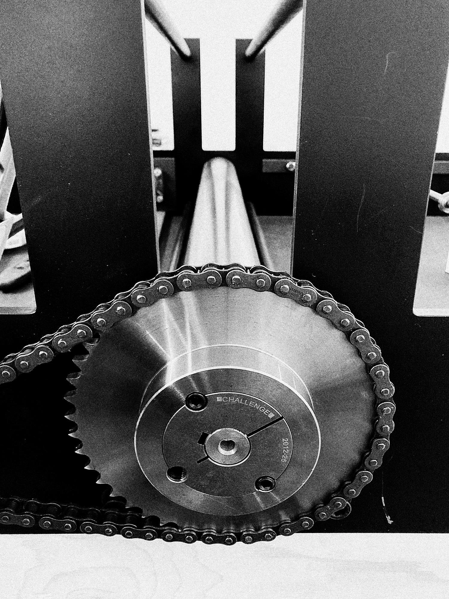 Press Portrait LR_21.jpg