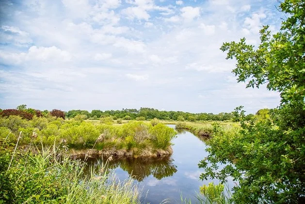 Réserve Naturelle des Prés Salés d'Arès et de Lège Cap-Ferret