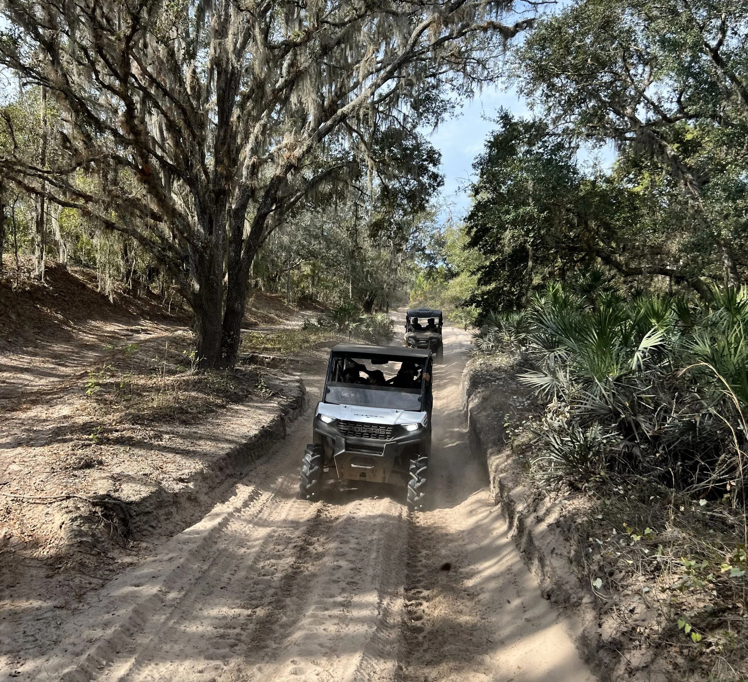 Three off-road utility vehicles driving along a sandy trail through a wooded area with tall trees and dense foliage.