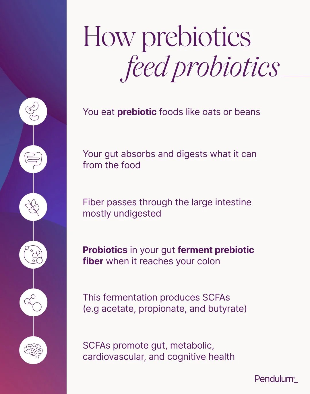 PEN-In-Post-Prebiotics vs. Probiotics 3.jpg
