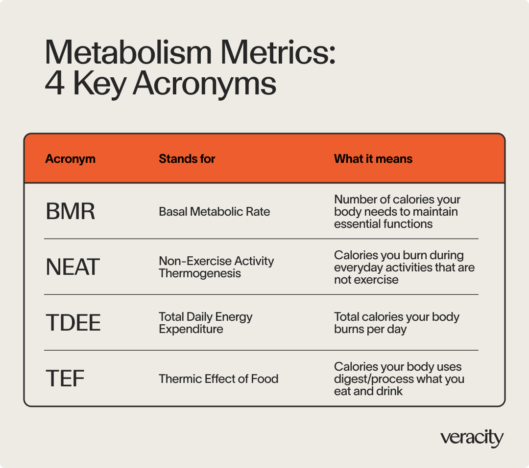 Metabolic Types 1.png