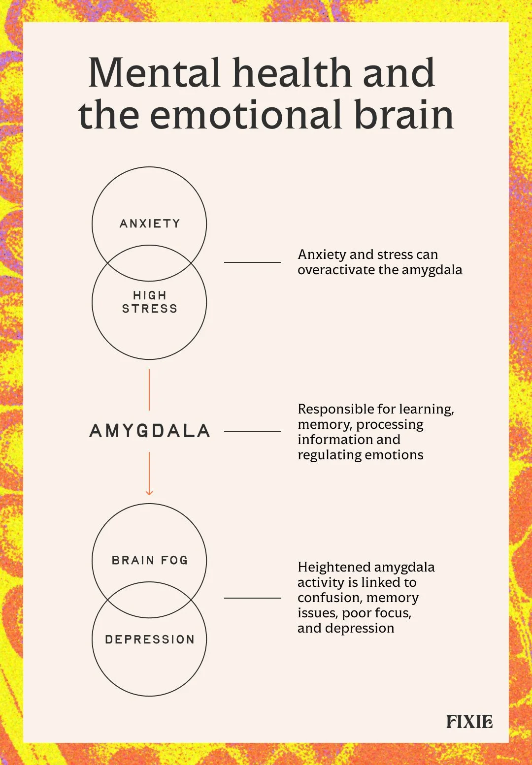 Brain Fog Causes 2.jpg