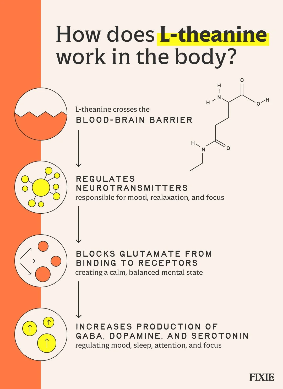 L-theanine Benefits 6.jpg