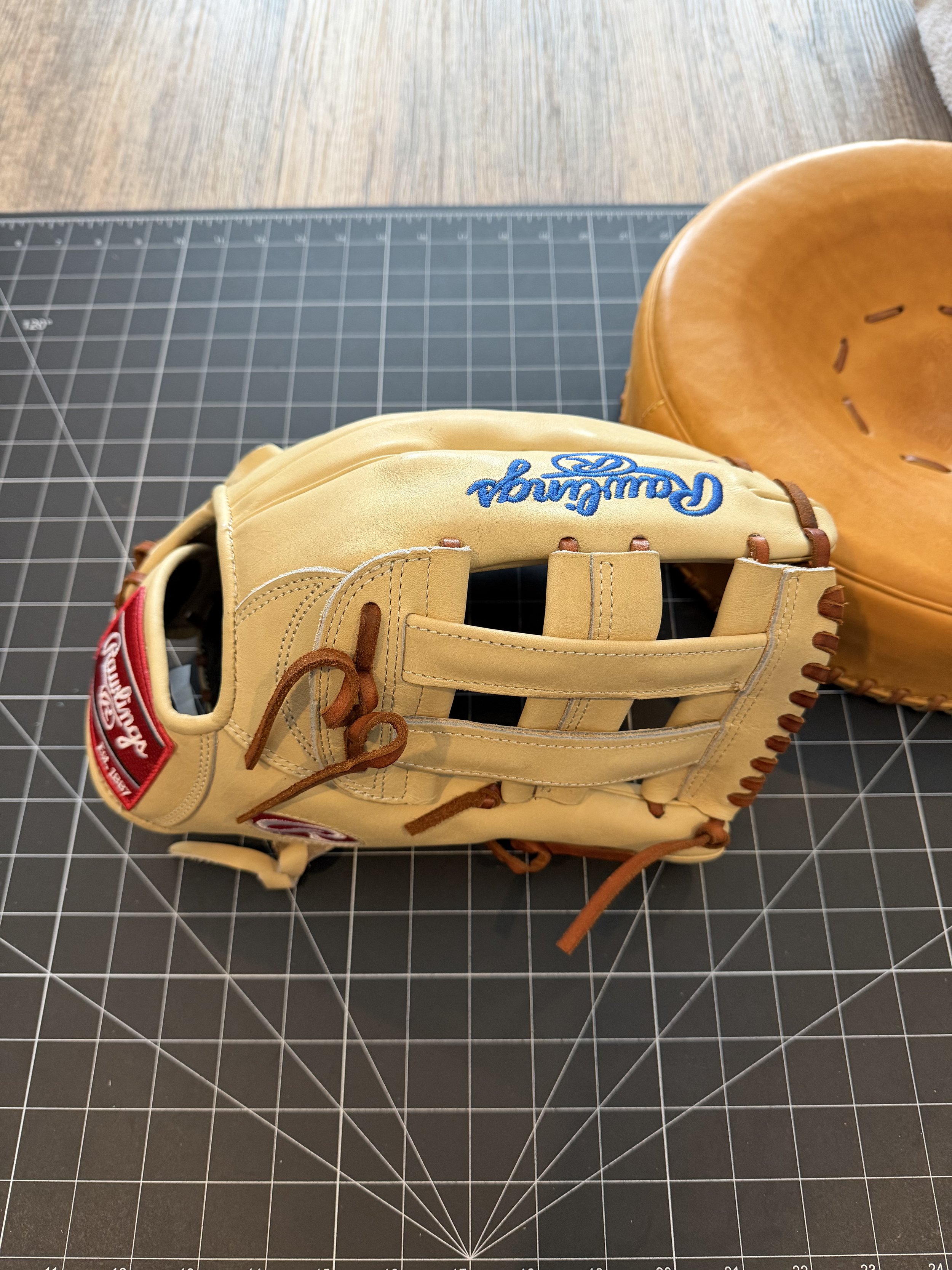 A baseball glove and a catcher's mitt on a gridded work surface.
