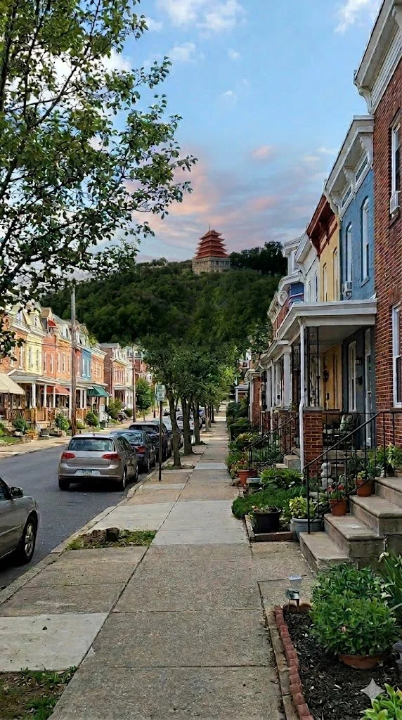 Pest Control in West Reading, PA