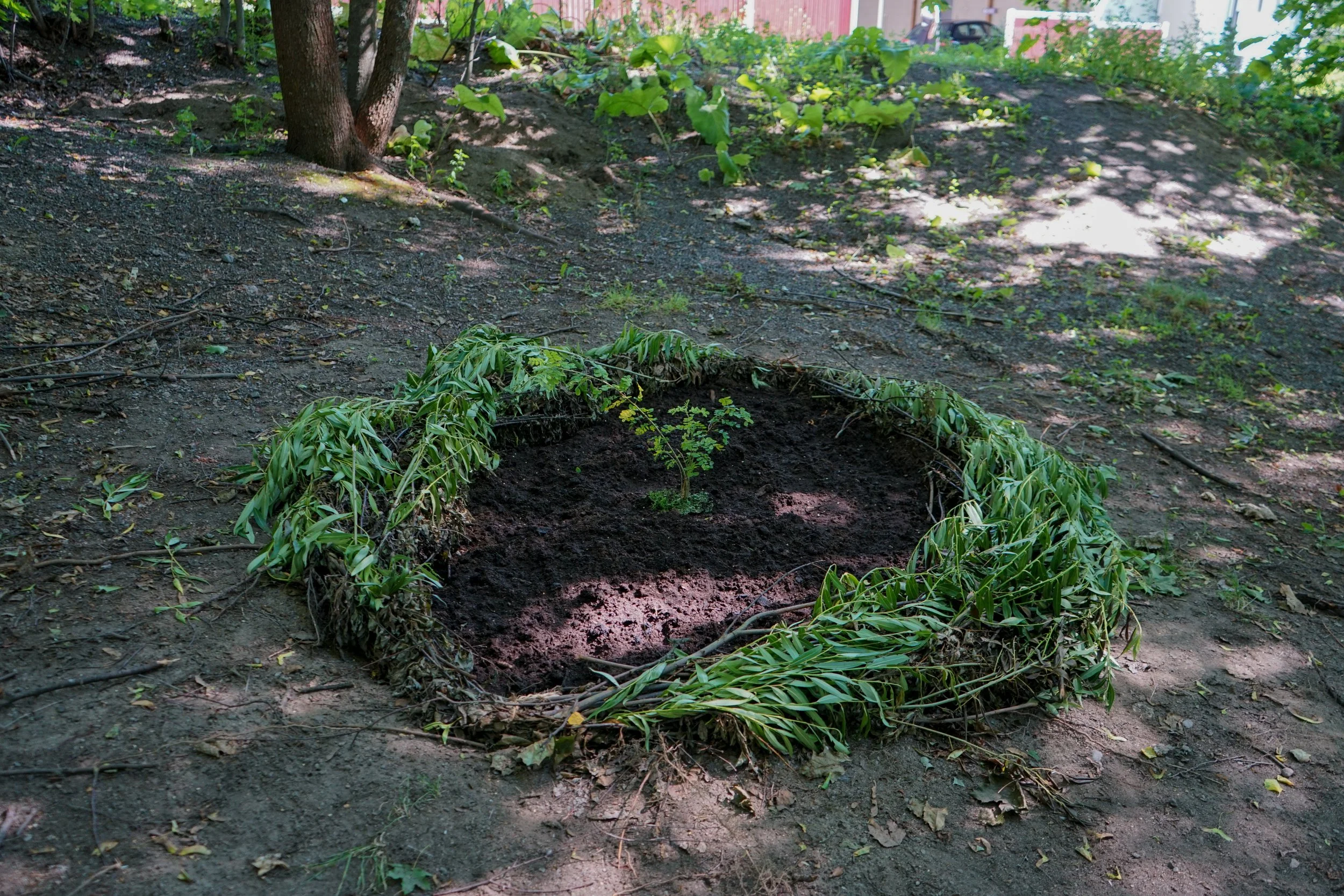 CARBON SINK I HIILINIELU (2022)