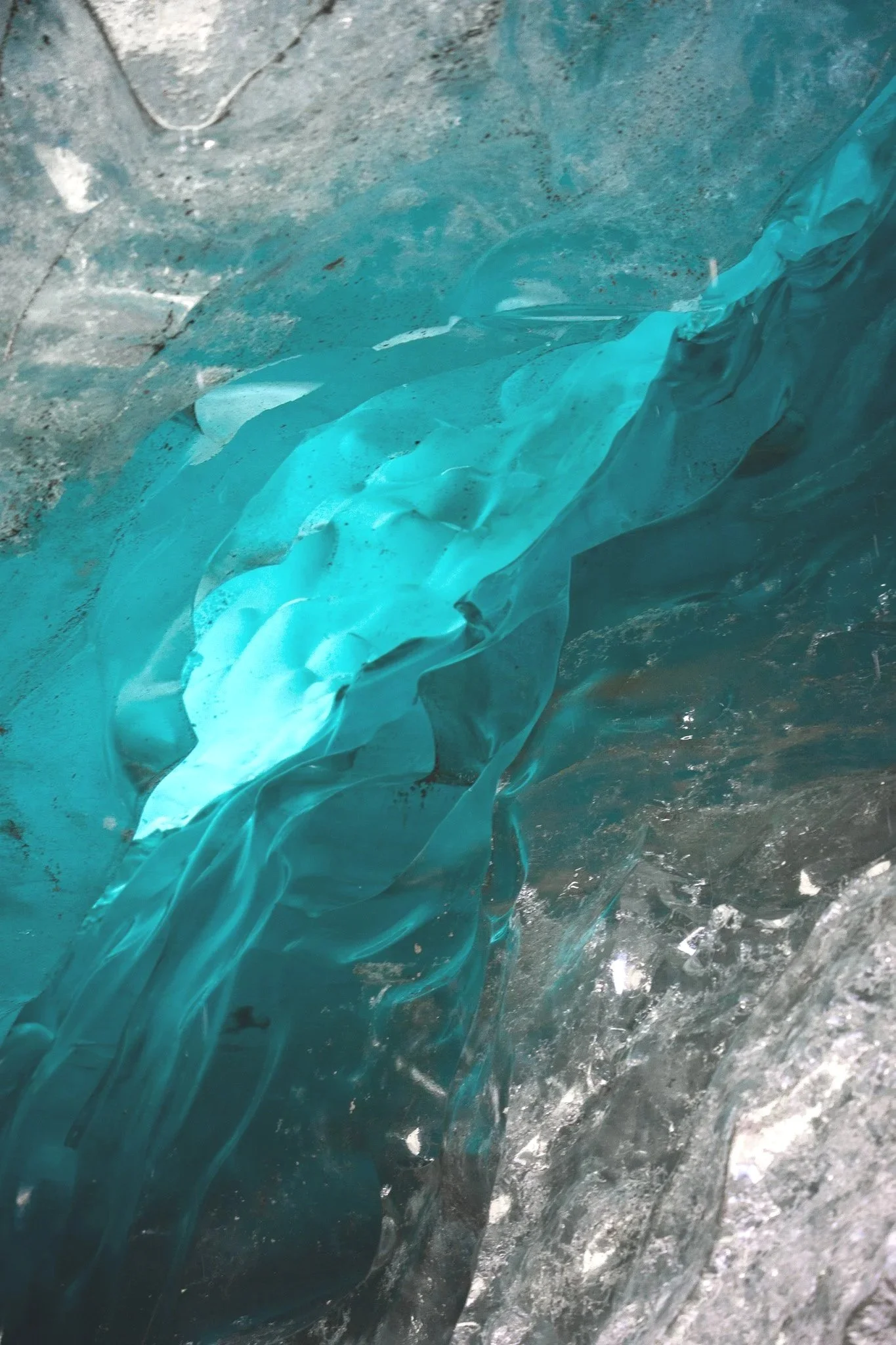 Living organisms; Breathing glacier (2025)