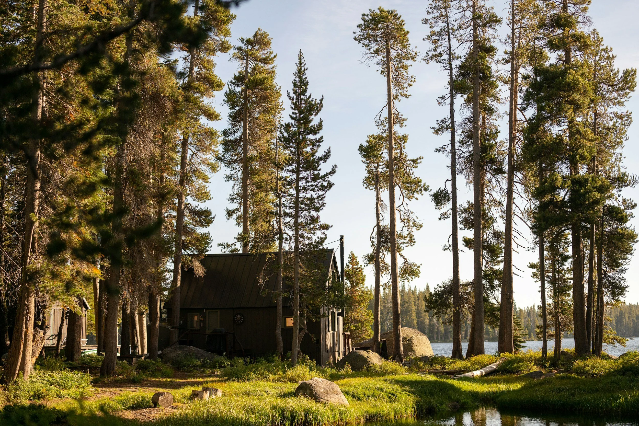 A rustic cabin in a forest by a lake, surrounded by tall pine trees and rocks.
