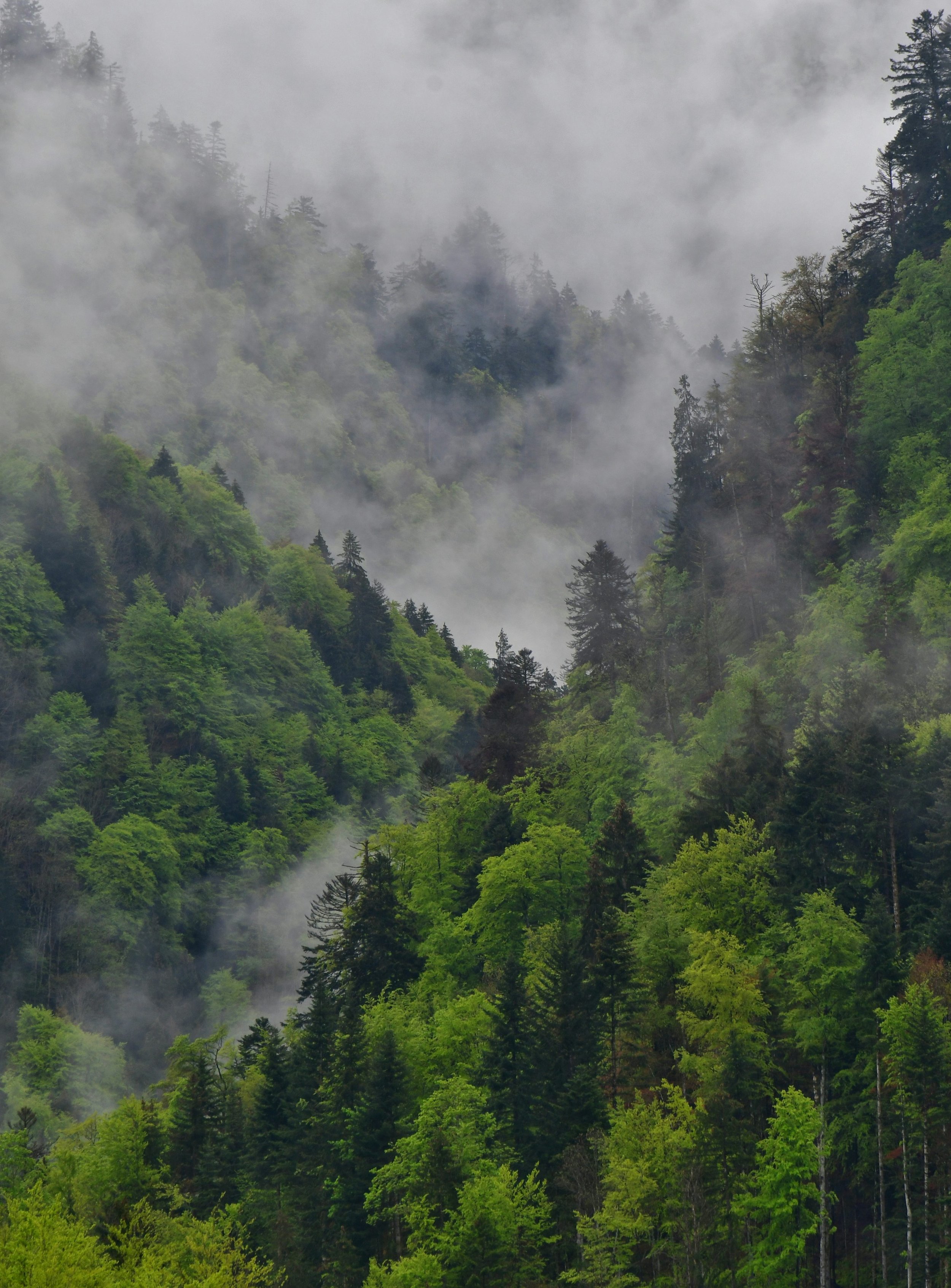 Premium All Day Site Review