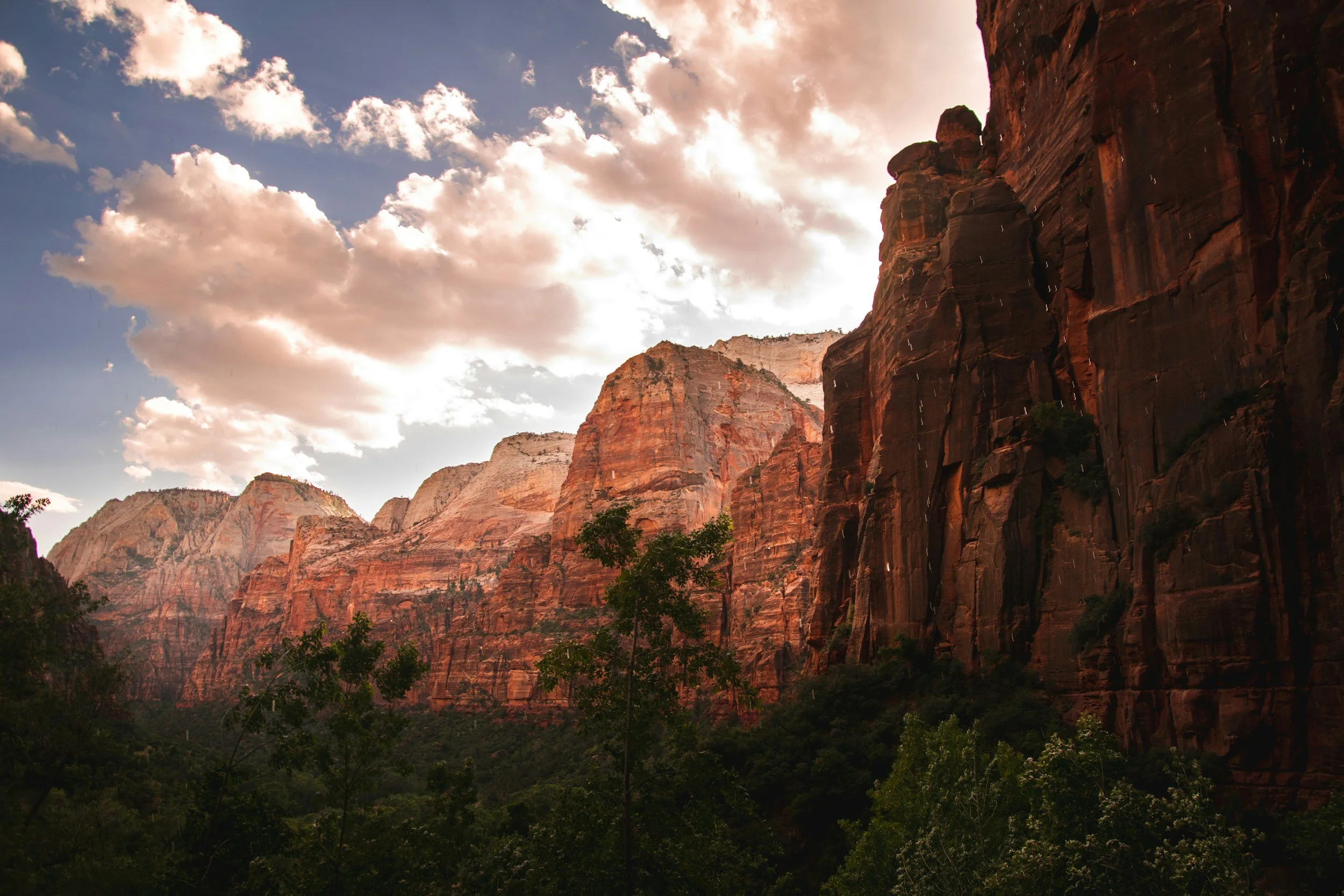 Towering sandstone cliffs rise above Zion Canyon as viewed from Weeping Rock in Zion National Park, illuminated by warm late-afternoon light beneath passing clouds.