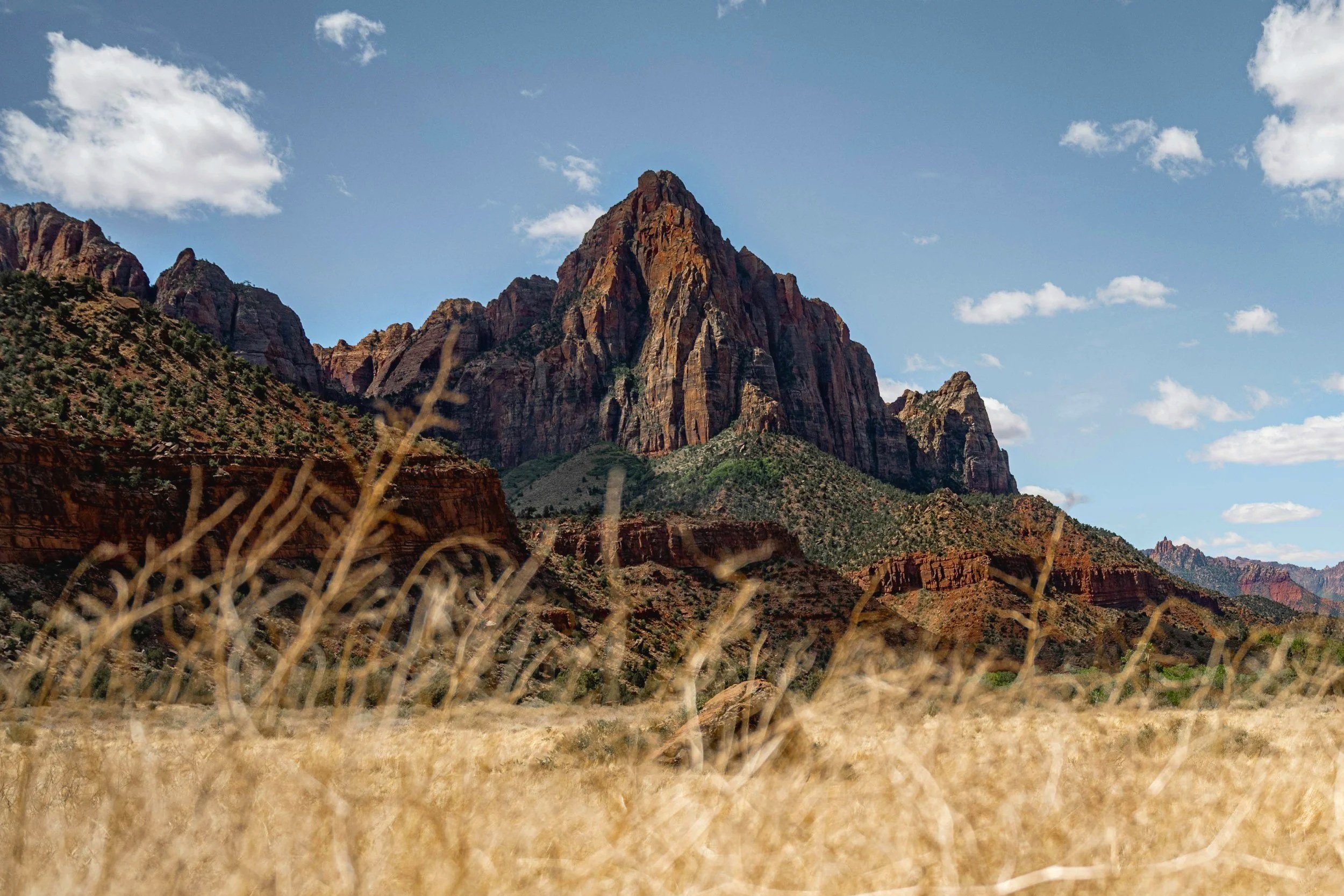 A view of The Watchman in Zion National Park from the Pa’rus Trail, framed by golden grasses and desert vegetation beneath a blue sky in Springdale, Utah.