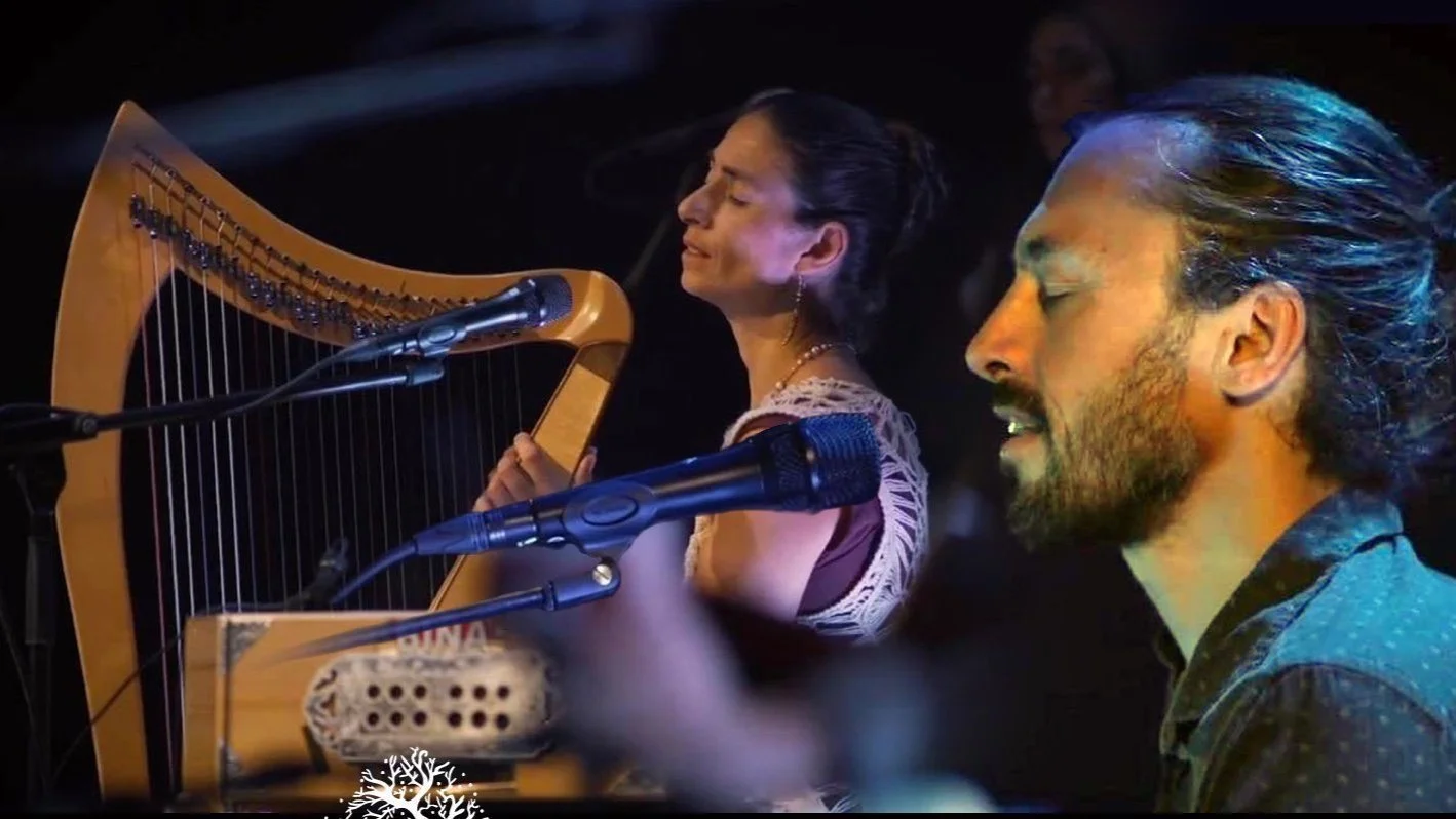 A bearded man sings into a microphone in the foreground while a woman plays a large wooden harp behind him. Both musicians have their eyes closed as they perform under warm blue and amber stage lighting.