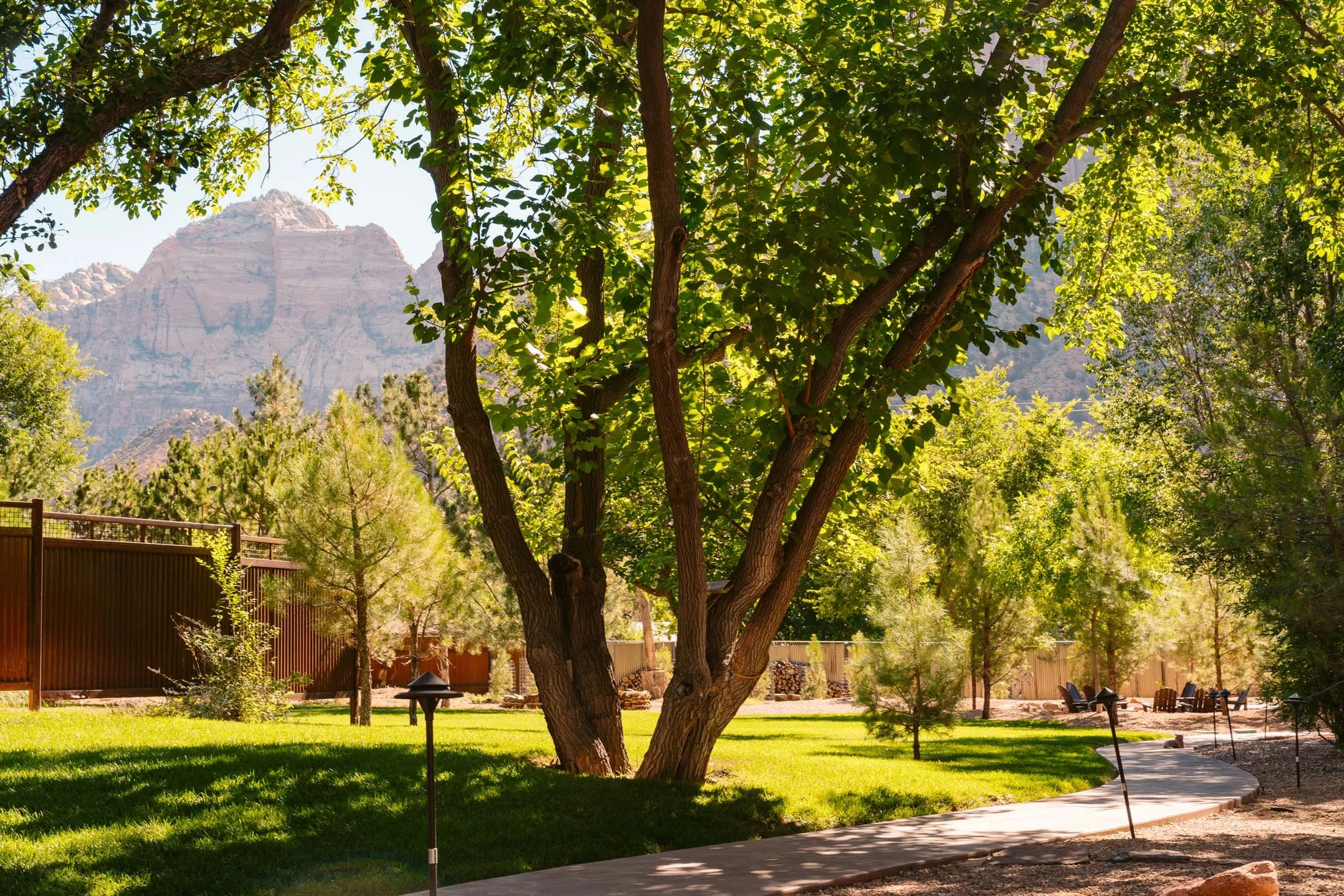 A lush backyard with green grass, trees, and a pathway, with mountains in the background.