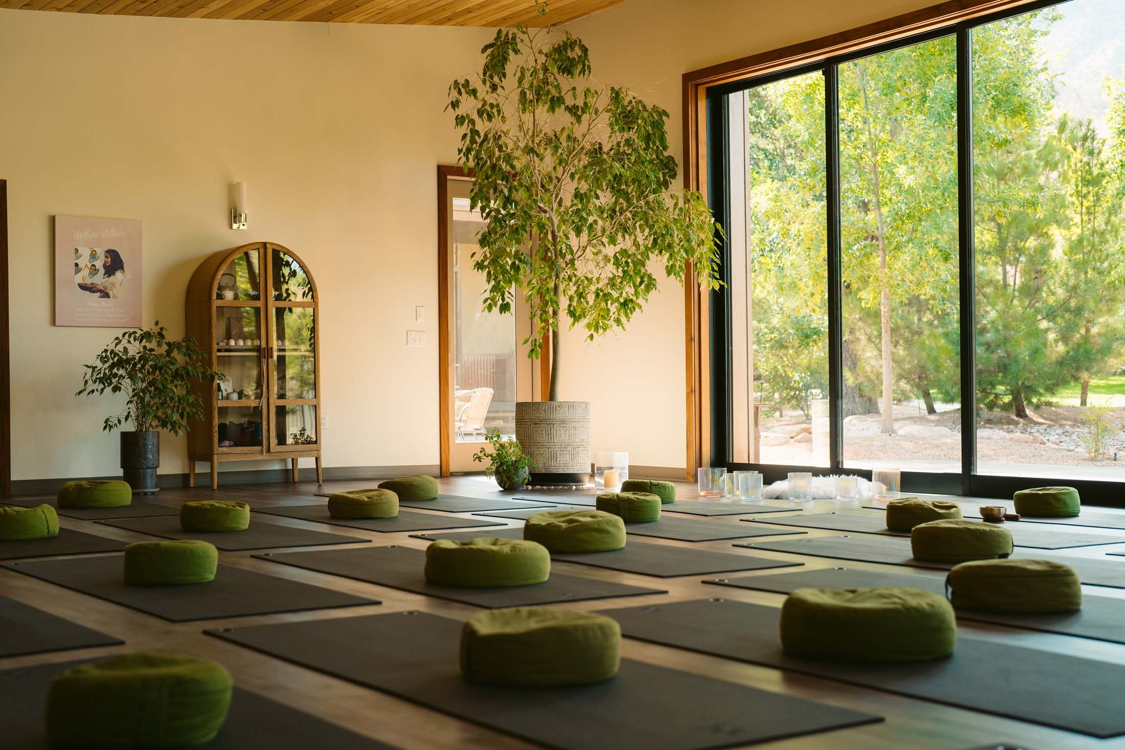 Yoga studio with black mats and green cushions, large windows revealing trees outside, potted plants, and wooden shelves inside.