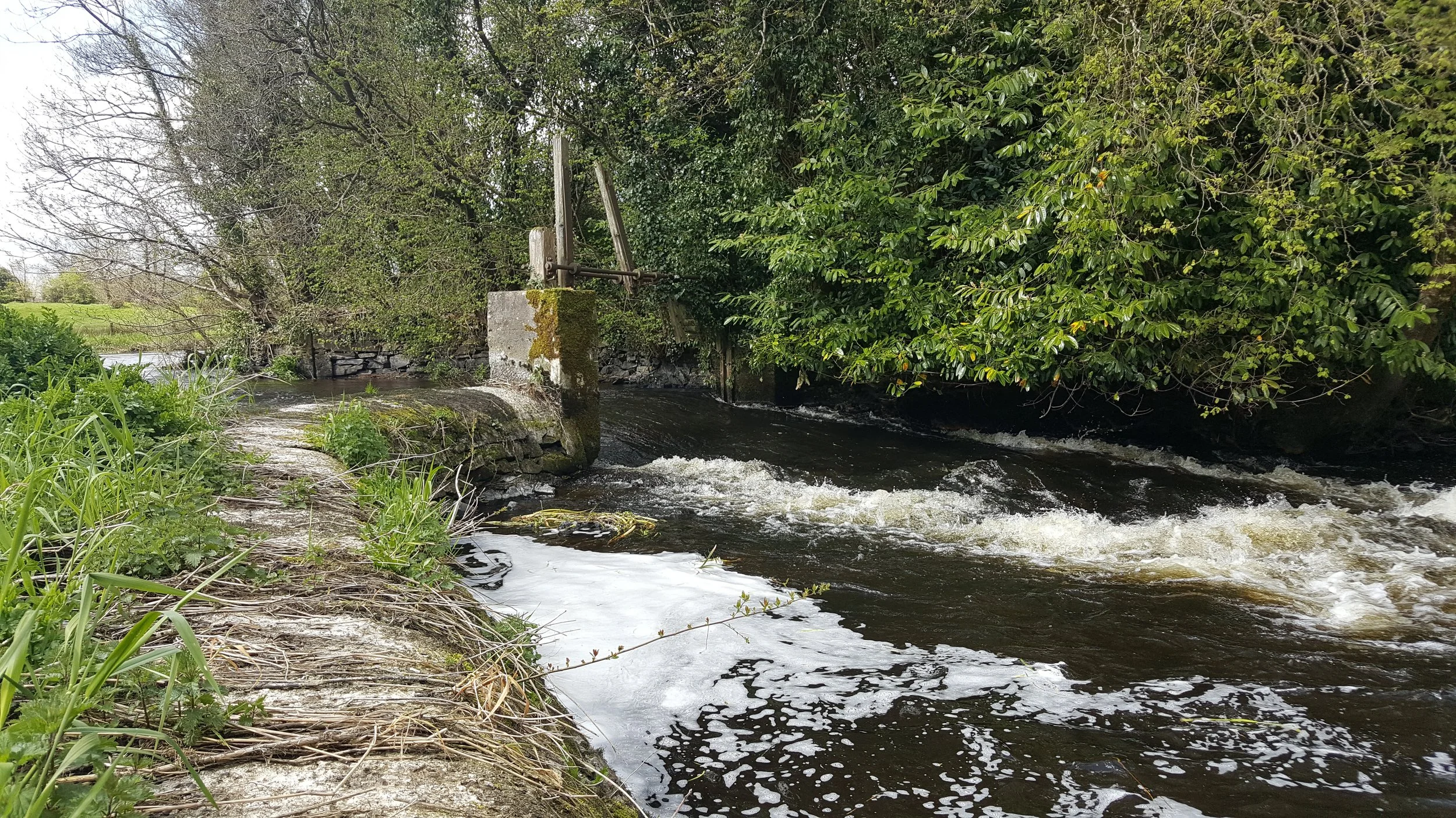 A small river flowing past a stone and moss-covered concrete structure with a metal valve or lever on top, surrounded by green bushes and trees, with some grass and plants along the riverbank.