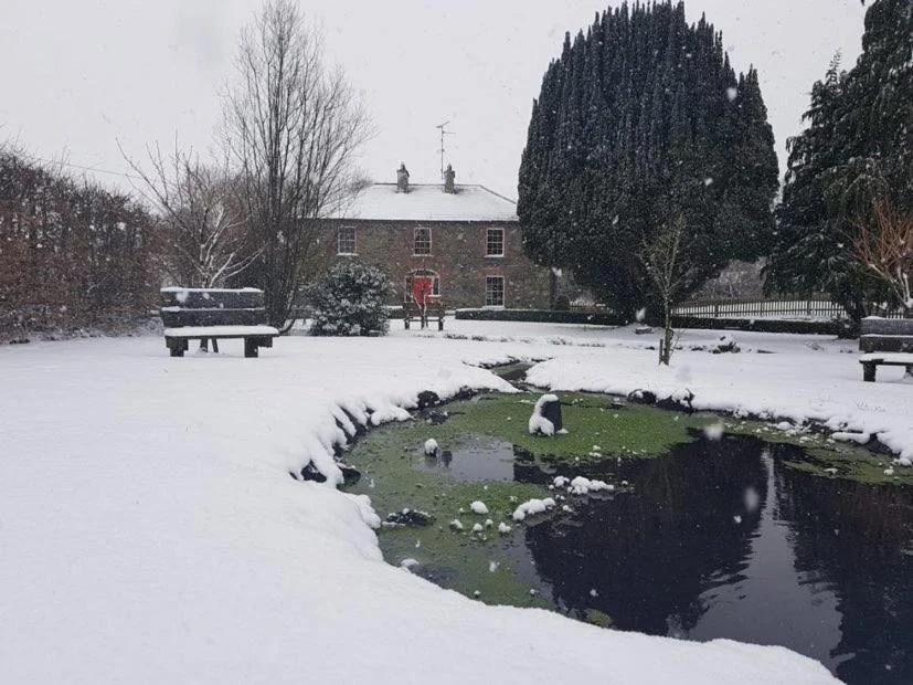 Snow-covered park with a pond, benches, a large tree, and a house in the background.