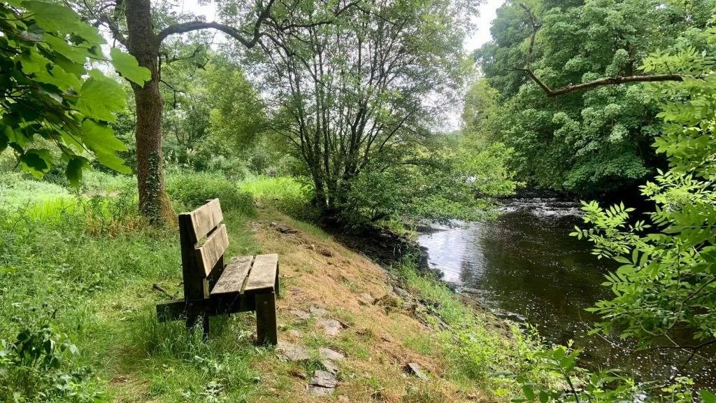 A wooden bench on a grassy and rocky riverbank, surrounded by green trees and bushes with a gentle flowing river.