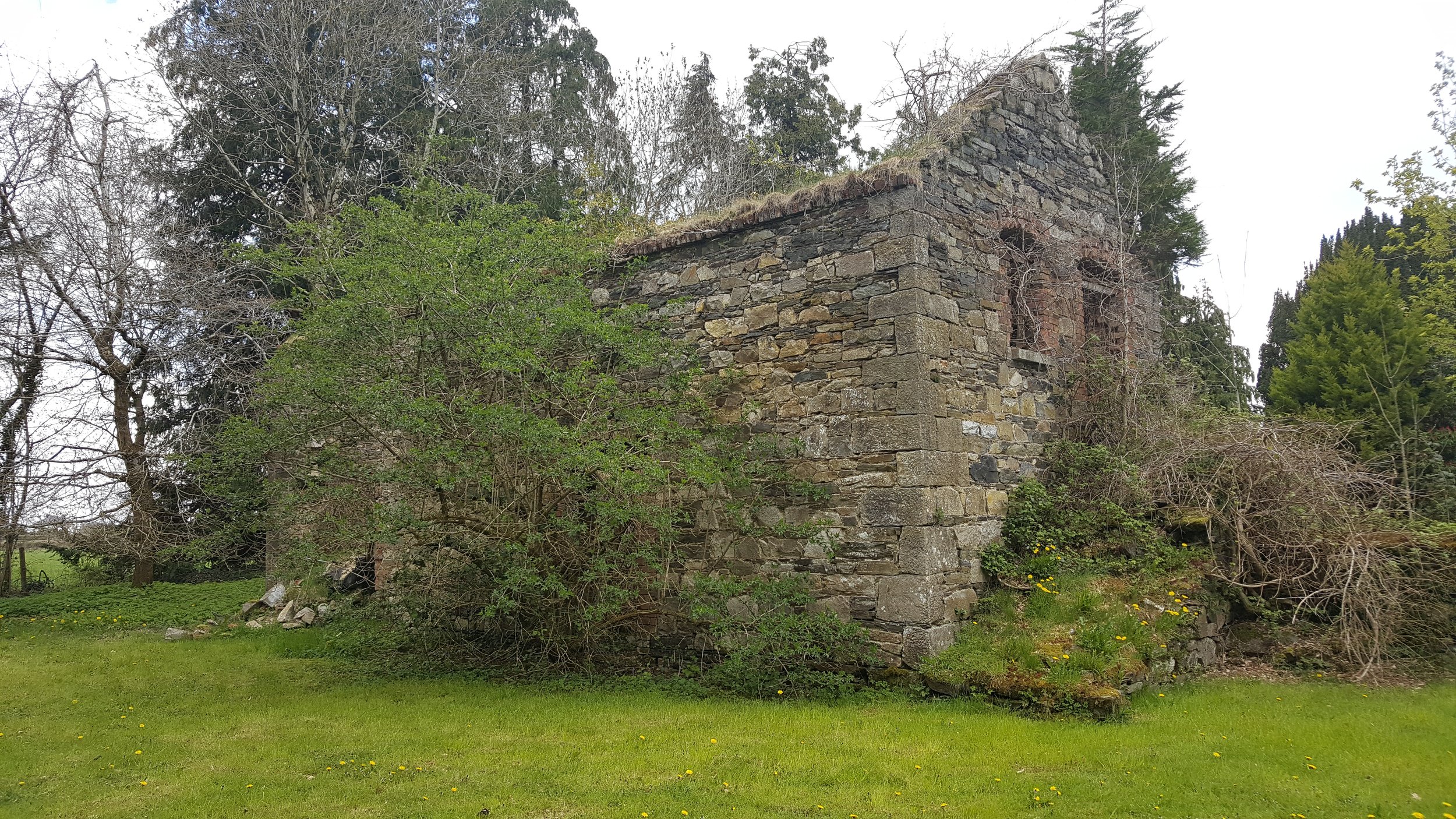 An old stone building overgrown with plants, situated on a grassy landscape, with trees in the background.